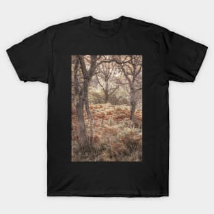 'The First Frost', near Garry Bridge, Pitlochry. T-Shirt